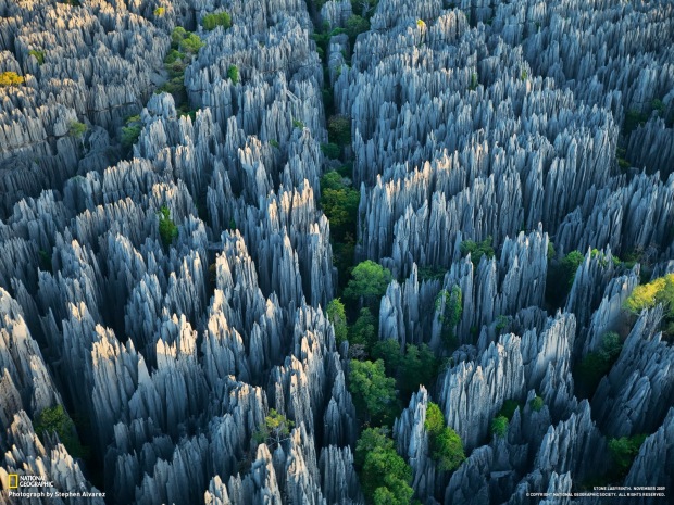 Photo by Stephen Alvarez for National Geographic